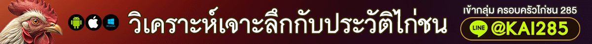 วิเคราะห์เจาะลึกกับประวัติไก่ชน