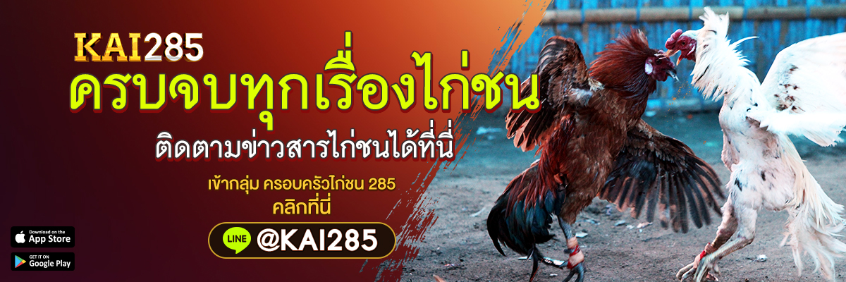 ครบจบทุกเรื่องไก่ชน