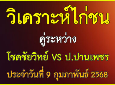 วิเคราะห์ข้อมูลไก่ชน คู่ระหว่าง โชคชัยวิทย์ VS ป.ปานเพชร ประจำวันที่ 9 กุมภาพันธ์ 2568