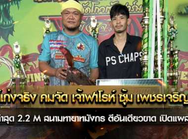 ตัวนี้เก่งจริง คมจัด เจ้าฟาโรห์ ซุ้มเพชรเจริญโชค