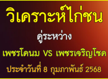 วิเคราะห์ข้อมูลไก่ชน คู่ระหว่าง เพชรโคนม VS เพชรเจริญโชค ประจำวันที่ 8 กุมภาพันธ์ 2568