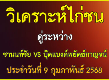 วิเคราะห์ข้อมูลไก่ชน คู่ระหว่าง ชานนท์ชัย VS บุ๊คแบงค์พยัคฆ์กาญจน์ ประจำวันที่ 9 กุมภาพันธ์ 2568