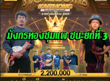 ลูกเจี๊ยบทีม    🆚  มังกรทองชุมแพ