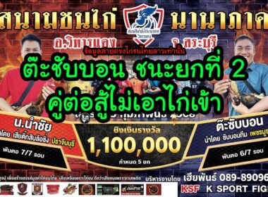 ต๊ะซับบอน  เจ้าฉลามตอแดง