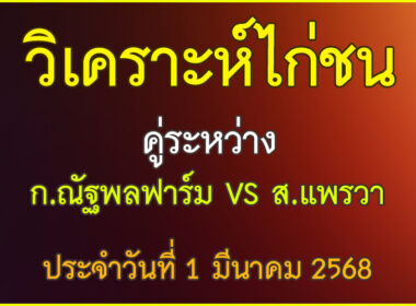 วิเคราะห์ไก่ชน คู่ระหว่าง ก.ณัฐพลฟาร์ม VS ส.แพรวา กาฬสินธุ์ ประจำวันที่ 1 มีนาคม 2568