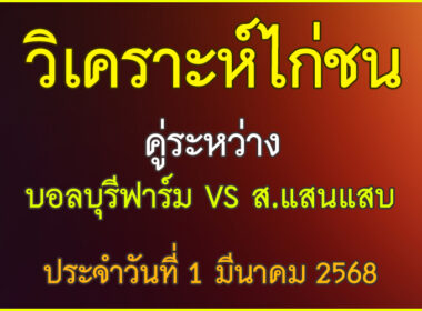 วิเคราะห์ไก่ชน คู่ระหว่าง บอลบุรีฟาร์ม VS ส.แสนแสบ ประจำวันที่ 1 มีนาคม 2568