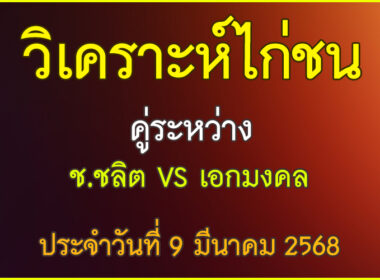 วิเคราะห์ไก่ชน คู่ระหว่าง ช.ชลิต VS เอกมงคล ประจำวันที่ 9 มีนาคม 2568