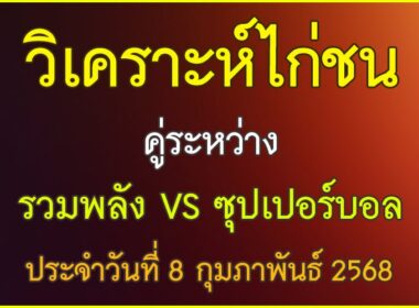วิเคราะห์ไก่ชน คู่ระหว่าง รวมพลัง VS ซุปเปอร์บอล ประจำวันที่ 8 กุมภาพันธ์ุ 2568