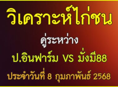 วิเคราะห์ไก่ชน คู่ระหว่าง ป.อินฟาร์ม VS มั่งมี88 ประจำวันที่ 8 กุมภาพันธ์ุ 2568