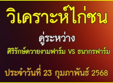 วิเคราะห์ไก่ชน คู่ระหว่าง ศิริรักษ์ควายงามฟาร์ม VS ธนากรฟาร์ม ประจำวันที่ 23 กุมภาพันธุ์ 2568