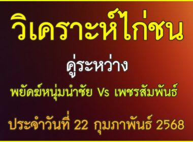 วิเคราะห์ไก่ชน คู่ระหว่าง พยัคฆ์หนุ่มนำชัย VS เพชรสัมพันธุ์ ประจำวันที่ 22 กุมภาพันธุ์ 2568