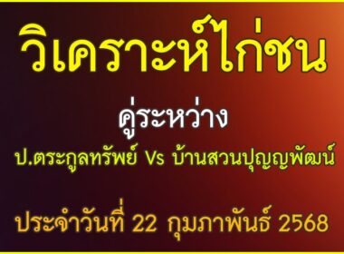 วิเคราะห์ไก่ชน คู่ระหว่าง ป.ตระกูลทรัพย์ VS บ้านสวนปุญญพัฒน์ ประจำวันที่ 22 กุมภาพันธุ์ 2568