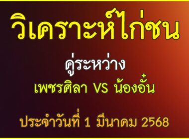 วิเคราะห์ไก่ชน คู่ระหว่าง เพชรศิลา VS น้องอั๋น ประจำวันที่ 1 มีนาคม 2568