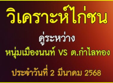 วิเคราะห์ไก่ชน คู่ระหว่าง หนุ่มเมืองนนท์ VS ต.กำไลทอง ประจำวันที่ 2 มีนาคม 2568