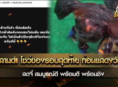 เจ้าฉลามดำ โชว์ของครั้งสุดท้าย ก่อนแสดงวันจริง สดจี๋ สมบูรณ์ดี พร้อมตี พร้อมชิง