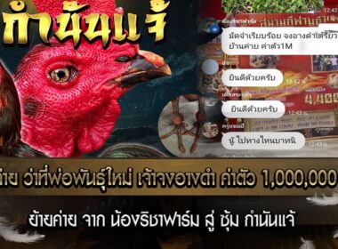 ย้ายค่าย ว่าที่พ่อพันธุ์ใหม่ ซุ้ม กำนันแจ้ เจ้าจงอางดำ แชมป์เงินล้าน สนามไผ่เงินล้าน ติดมัดจำชน 16,000,000 สนามชนไก่ทองอินเตอร์  ย้ายค่าย ค่าตัว 1,000,000  บาท