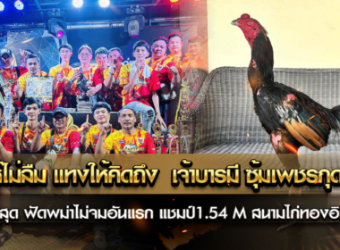 ทุบให้ไม่ลืม แทงให้คิดถึง  เจ้าบารมี ซุ้มเพชรกุดเลาะ