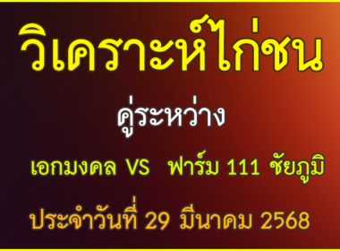 วิเคราะห์ไก่ชน คู่ระหว่าง เอกมงคล VS ฟาร์ม 111 ชัยภูมิ ประจำวันที่ 29 มีนาคม 2568