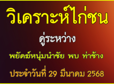 วิเคราะห์ไก่ชน คู่ระหว่าง พยัคฆ์หนุ่มนำชัย VS ท่าช้าง ประจำวันที่ 29 มีนาคม 2568