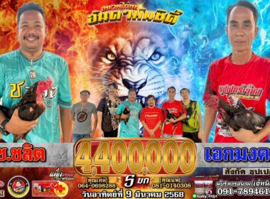 ช.ชลิต   🆚  เอกมงคล สังกัด ซุปเปอร์เจี๋ยง    🟦เอกมงคล (สังกัด ซุปเปอร์เจี๋ยง) ชนะ ยกที่ 1