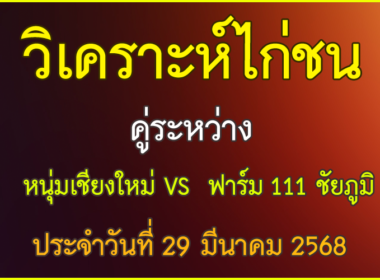 วิเคราะห์ไก่ชน คู่ระหว่าง หนุ่มเชีบงใหม่ VS ฟาร์ม 111 ชัยภูมิ ประจำวันที่ 29 มีนาคม 2568