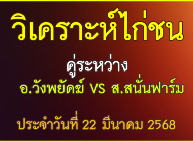 วิเคราะห์ไก่ชน คู่ระหว่าง อ.วังพยัคฆ์ VS ส.สนั่นฟาร์ม ประจำวันที่ 22 มีนาคม 2568