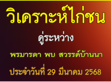 วิเคราะห์ไก่ชน คู่ระหว่าง พรมารดา VS สวรรค์บ้านนา ประจำวันที่ 29 มีนาคม 2568