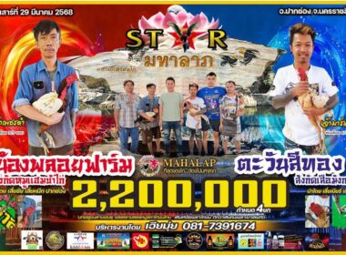 น้อยพลอยฟาร์ม 🆚 ตะวันสีทอง