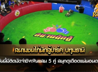 สนามชนไก่นักสู้ปาร์ค ปทุมธานี ชมรมที่ไม่ใช่ชมรมธรรมดาเปิดทุกวันอังคาร ไก่ใหม่ตีหลักหมื่นหลักแสน หรือ อาจจะมีหลักล้าน ชิงเดิมพันกัน แค่เงินแสน แต่เราบรรดาเซียน มีแต่หัวกะทิเมืองไทยร้องราคาเล่นกันที ขุมแสนสองแสน ตัวเงินมีแน่ๆ