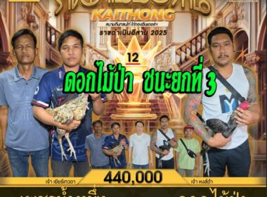 เพชรน้ำหนึ่ง 🆚 ดอกไม้ป่า