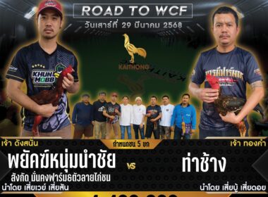พยัคฆ์หนุ่มนำชัย   🆚  ท่าช้าง