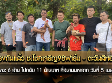ตรงกันแล้ว ช.โชคเจริญ98ฟาร์ม – ตะวันสีทอง