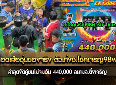 สุดยอดเสือซุ่มของจริง ตัวเก่งช.โชคเจริญ98ฟาร์ม