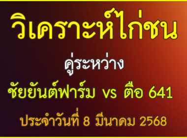 วิเคราะห์ไก่ชน คู่ระหว่างชัยยันต์ฟาร์ม  พบ ตือ 641 ประจำวันที่ 8 มีนาคม 2568