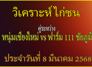 วิเคราะห์ไก่ชน คู่ระหว่าง หนุ่มเชียงใหม่ พบฟาร์ม 111 ชัยภูมิ ประจำวันที่ 8 มีนาคม 2568