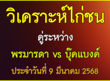 วิเคราะห์ไก่ชน คู่ระหว่าง พรมารดา พบ บุ๊คแบงค์พยัคฆ์กาญ ประจำวันที่ 9 มีนาคม 2568