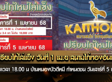 นัดเปรียบไก่ไล่แข็ง วันที่ 1 เม.ย สนามไก่ทองอินเตอร์