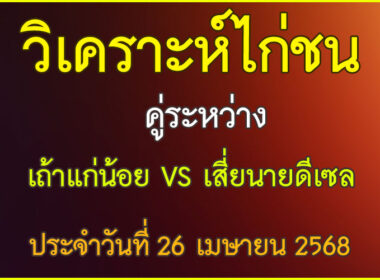 วิเคราะห์ไก่ชน คู่ระหว่าง เถ้าแก่น้อย VS เสี่ยนายดีเซล ประจำวันที่ 26 เมษายน 2568