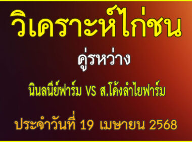 วิเคราะห์ไก่ชน คู่ระหว่าง นินลย์ฟาร์ม VS ส.โค้งลำไยฟาร์ม ประจำวันที่ 19 เมษายน 2568