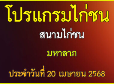 ณ สนามไก่ชน มหาลาภ ประจำวันที่ 20 เมษายน 2568