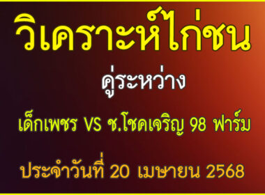 วิเคาระห์ไก่ชน คู่ระหว่าง เด็กเพชร VS ช.โชคเจริญ 98 ฟาร์ม ประจำวันที่ 20 เมษายน 2568
