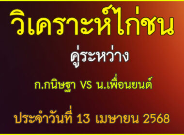 วิเคราะห์ไก่ชน คู่ระหว่าง ก.กนิษฐา VS น.เพื่อนยนต์ ประจำวันที่ 13 เมษายน 2568