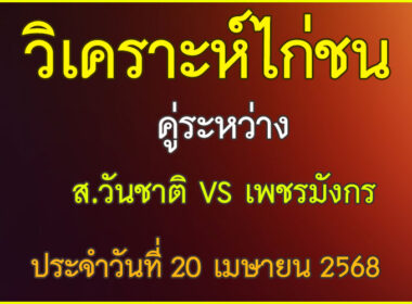 วิเคราะห์ไก่ชน คู่ระหว่าง ส.วันชาติ VS เพชรมังกร ประจำวันที่ 20 เมษายน 2568