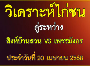 วิเคราะห์ไก่ชน คู่ระหว่าง สิงห์บ้านสวน VS ซุปเปอร์บอล ประจำวันที่ 20 เมษายน 2568