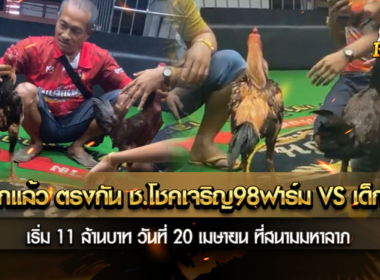 สนุกอีกแล้ว ตรงกัน ช.โชคเจริญ98ฟาร์ม VS เด็กเพชร
