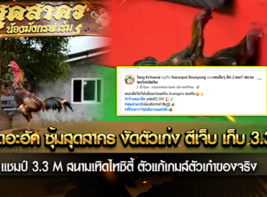เจ้าเดอะฮัค ซุ้มสุดสาคร งัดตัวเก่ง ตีเจ็บเก็บ 3.3 M