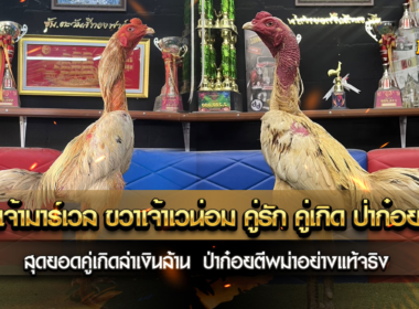 ซ้ายเจ้ามาร์เวล ขวาเจ้าเวน่อม คู่รัก คู่เกิด ป่าก๋อยเชิง