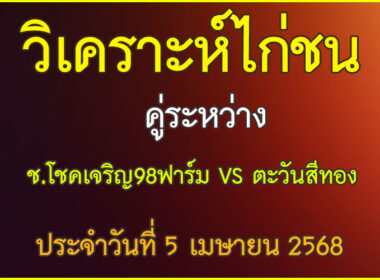 วิเคราะห์ไก่ชน คู่ระหว่าง ช.โชคเจริญ98ฟาร์ม VS ตะวันสีทอง ประจำวันที่ 5 เมษายน 2568