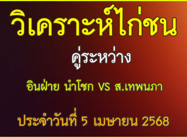 วิเคราะห์ไก่ชน คู่ระหว่าง อินฝ่าย นำโชก VS ส.เทพนภา ประจำวันที่ 5 เมษายน 2568