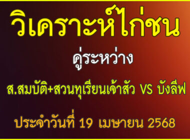 วิเคราะห์ไก่ชน คู่ทระหว่าง ส.สมบัติ+สวนทุเรียนเจ้าสัว VS บังงลีฟ ปนะจำวันที่ 19 เมษายน 2568